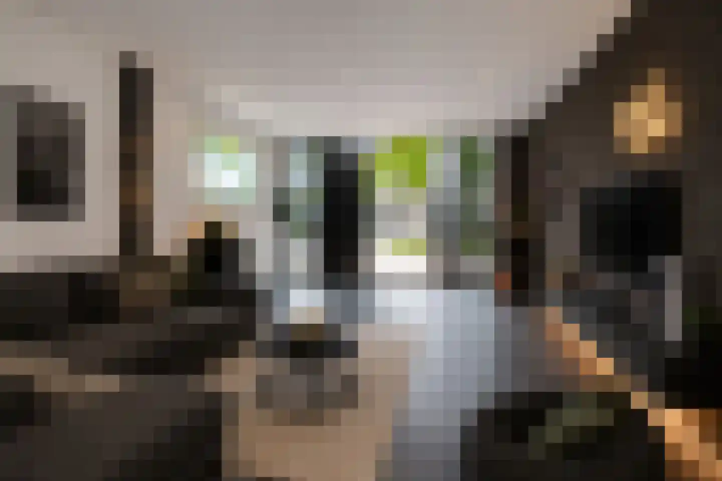 Kasteeldreef 29 's-Hertogenbosch thumbnail 44