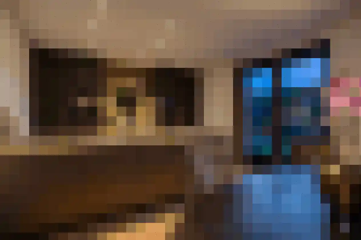 Kasteeldreef 29 's-Hertogenbosch thumbnail 53