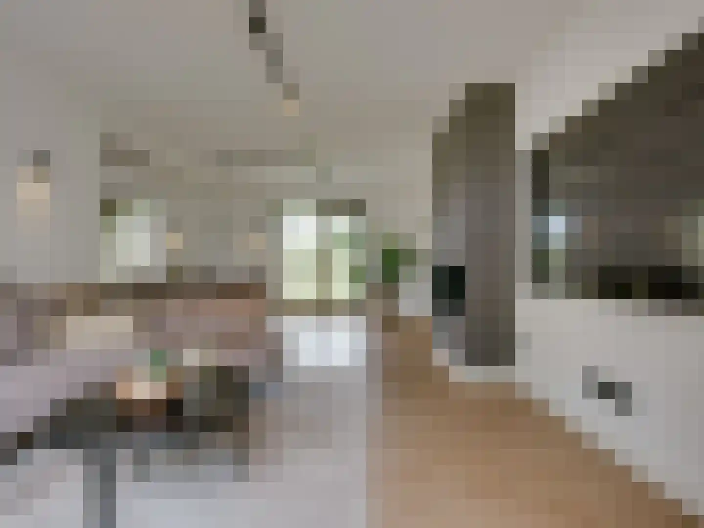 Kasteeldreef 29 's-Hertogenbosch thumbnail 6