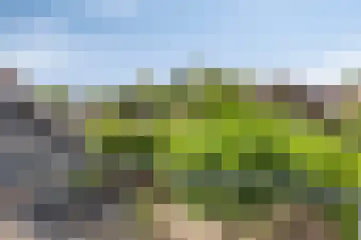 Kasteeldreef 35 A Drunen thumbnail 19
