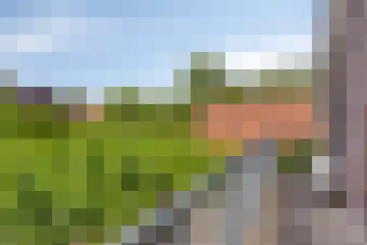Kasteeldreef 35 A Drunen thumbnail 20