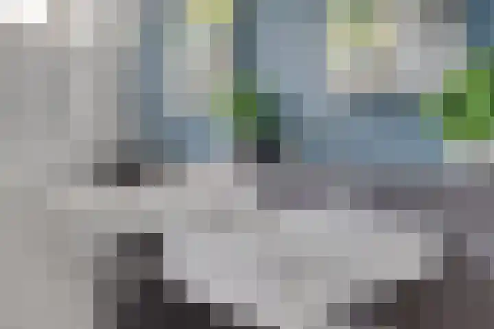 Kasteeldreef 35 A Drunen thumbnail 22
