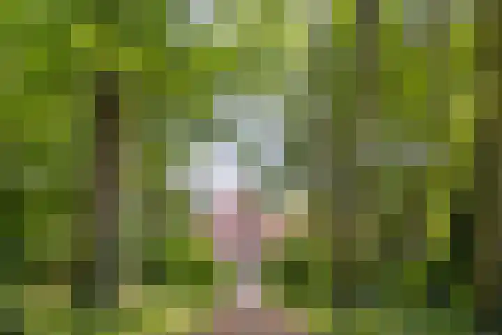 Kasteeldreef 35 A Drunen thumbnail 41