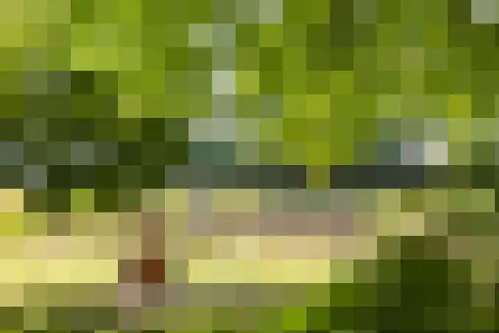 Kasteeldreef 35 A Drunen thumbnail 42