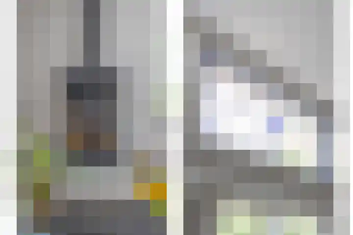 Kasteeldreef 35 A Drunen thumbnail 7