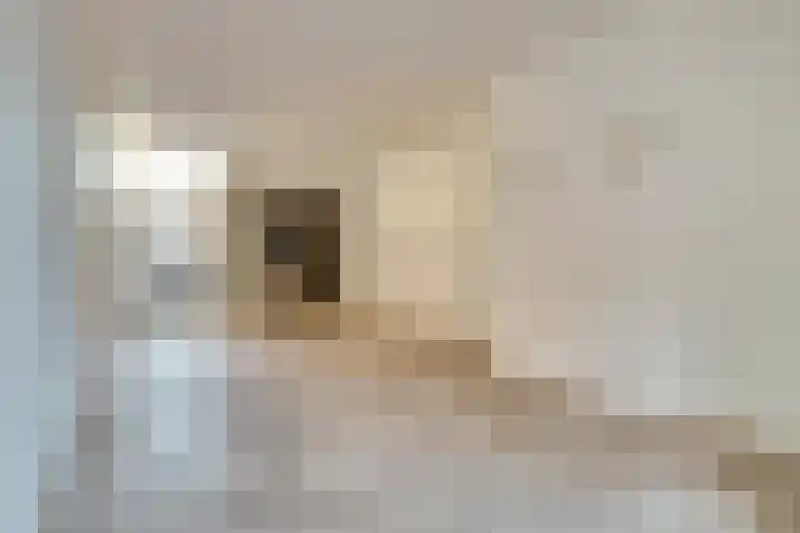 Kasteeldreef 38 Tilburg thumbnail 5