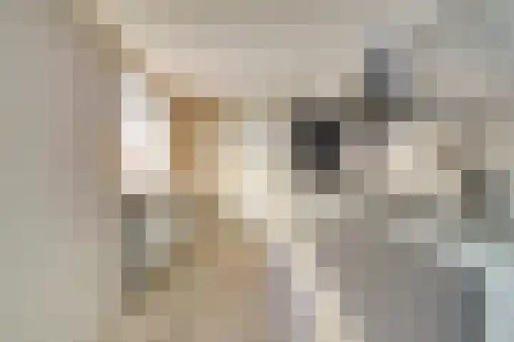 Kasteeldreef 38 Tilburg thumbnail 8