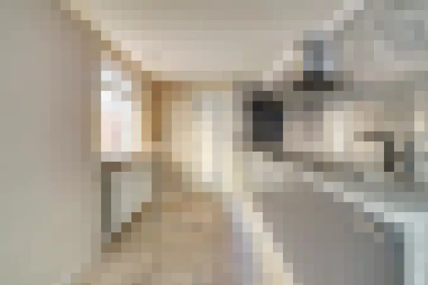 Kasteeldreef 38 Tilburg thumbnail 8