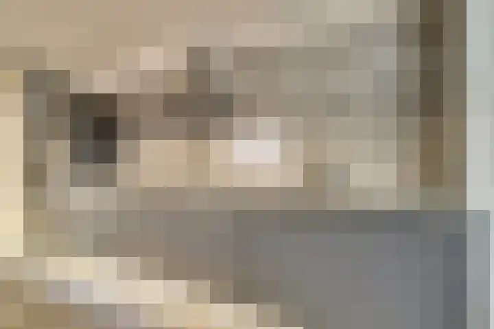 Kasteeldreef 38 Tilburg thumbnail 9