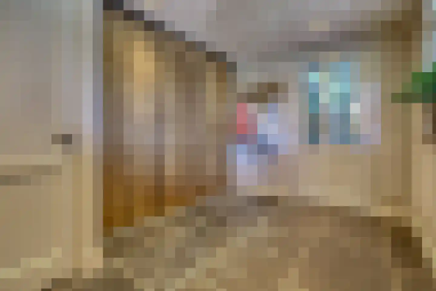 Kasteeldreef 40 A Drunen thumbnail 19