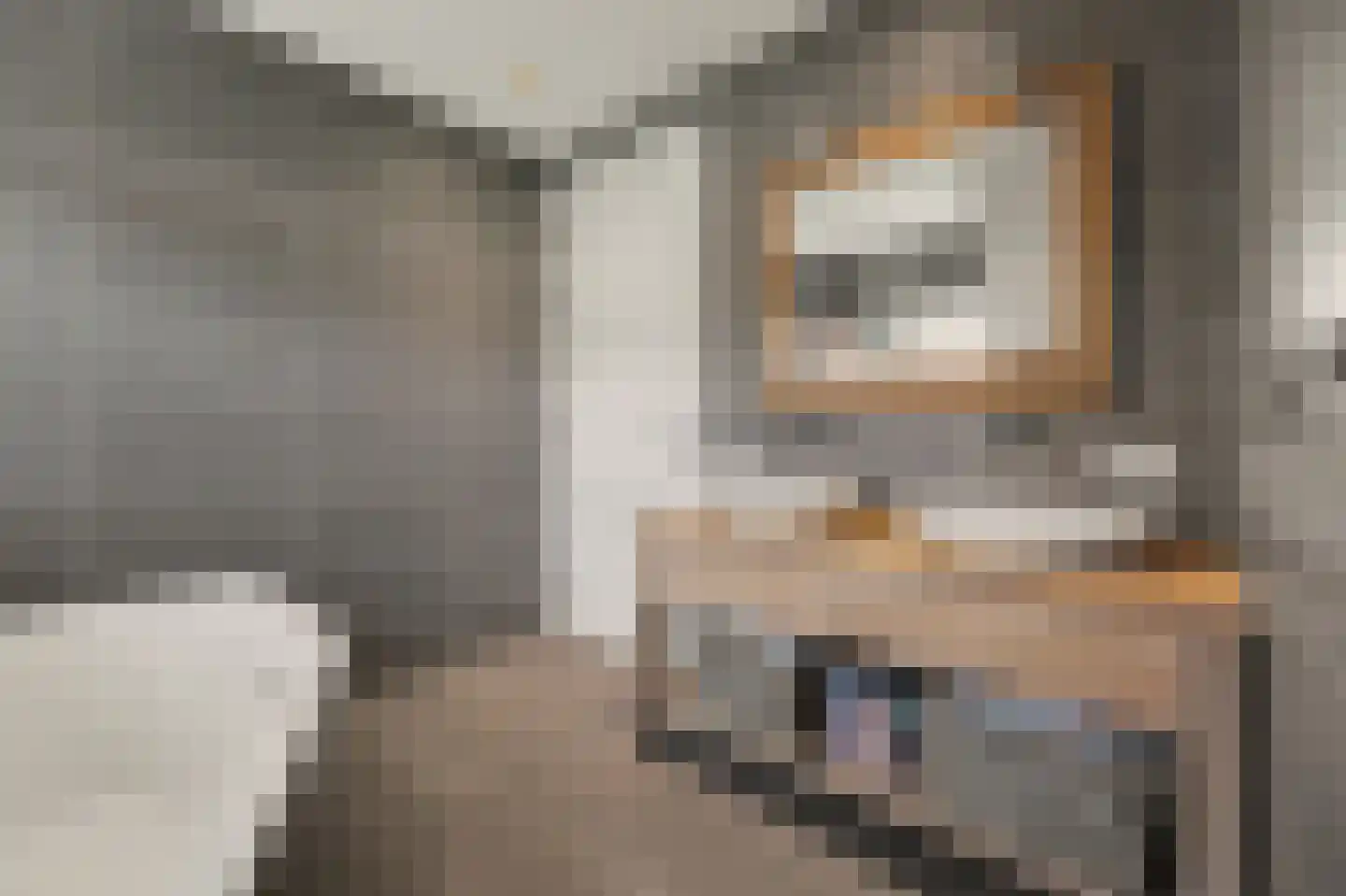 Kasteeldreef 40 A Drunen thumbnail 26