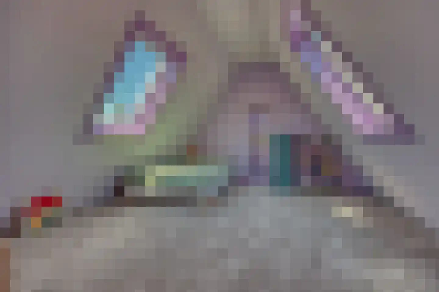 Kasteeldreef 40 A Drunen thumbnail 37