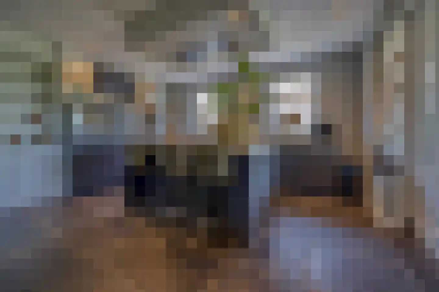 Kasteeldreef 40 A Drunen thumbnail 4