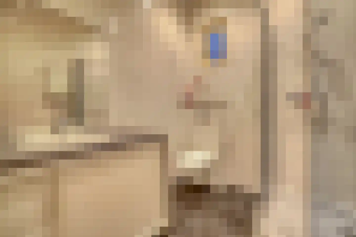 Kasteeldreef 40 A Drunen thumbnail 52