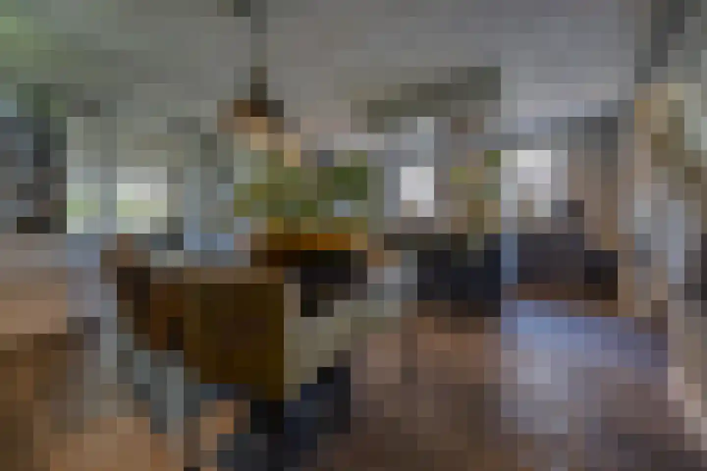 Kasteeldreef 40 A Drunen thumbnail 7