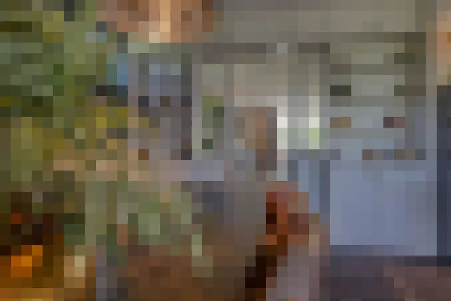 Kasteeldreef 40 A Drunen thumbnail 9