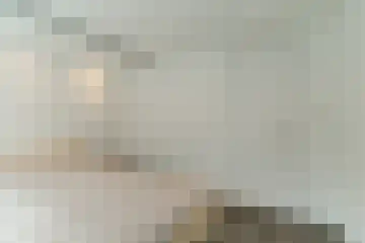 Kasteeldreef 58 Tilburg thumbnail 18