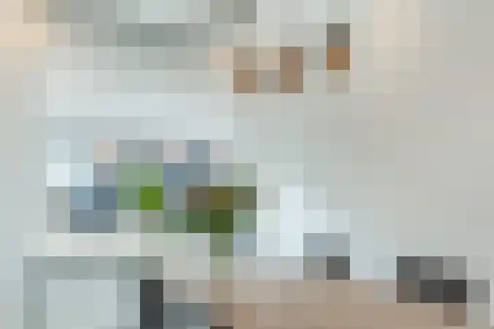 Kasteeldreef 58 Tilburg thumbnail 6