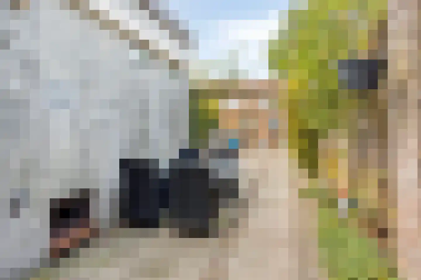 Kasteeldreef 63 Tilburg thumbnail 29