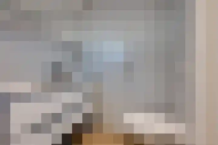 Kasteeldreef 66 Tilburg thumbnail 14