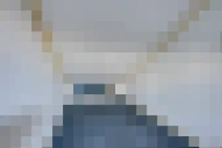 Kasteeldreef 66 Tilburg thumbnail 22