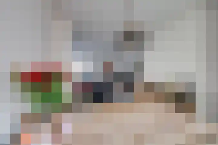 Kasteeldreef 66 Tilburg thumbnail 8