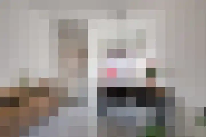 Kasteeldreef 66 Tilburg thumbnail 9