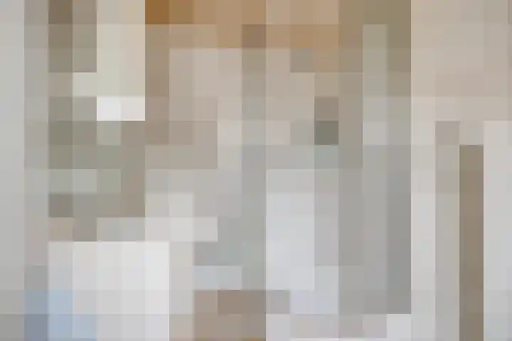 Kasteeldreef 72 Tilburg thumbnail 13
