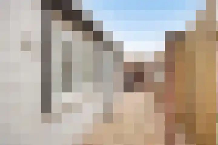 Kasteeldreef 72 Tilburg thumbnail 26