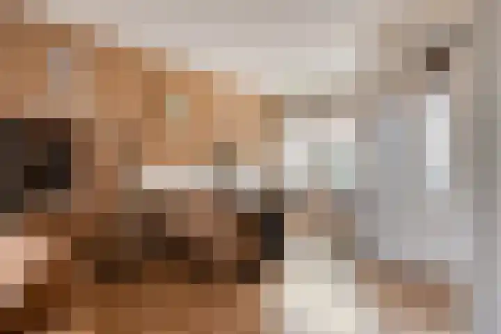Kasteeldreef 72 Tilburg thumbnail 8