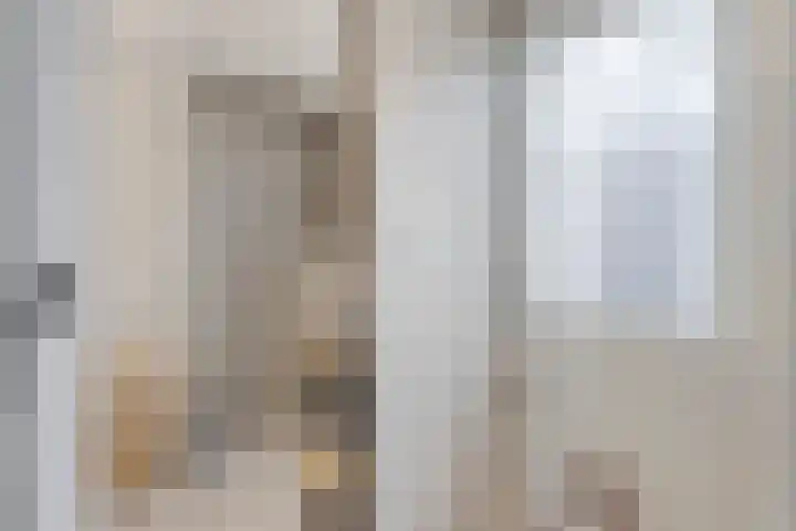 Kasteeldreef 80 Tilburg thumbnail 12