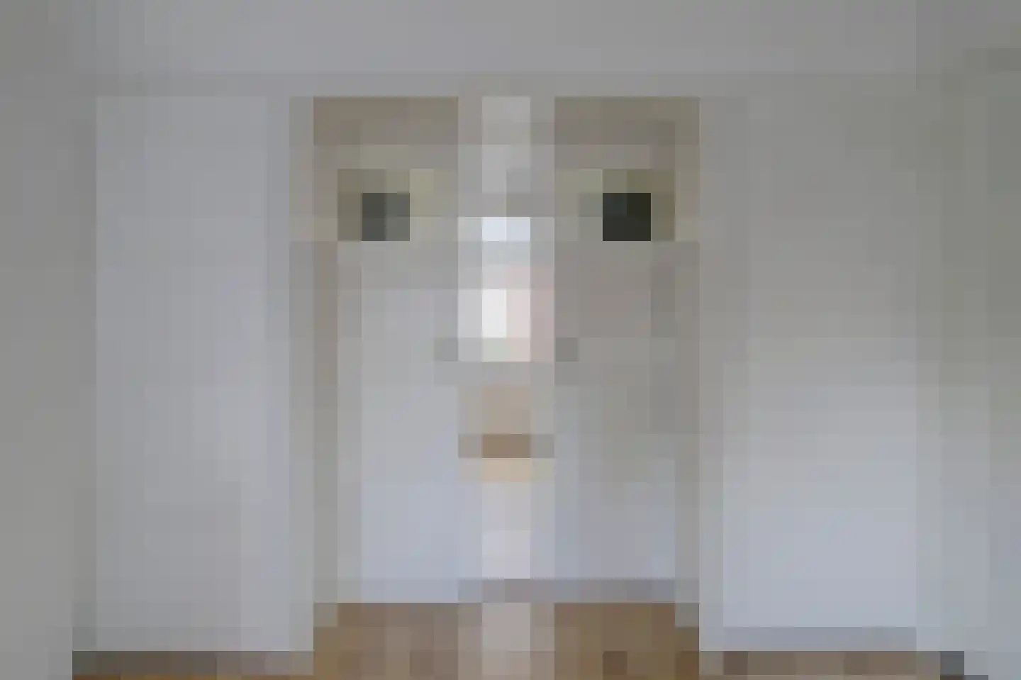 Kasteeldreef 93 Tilburg thumbnail 21