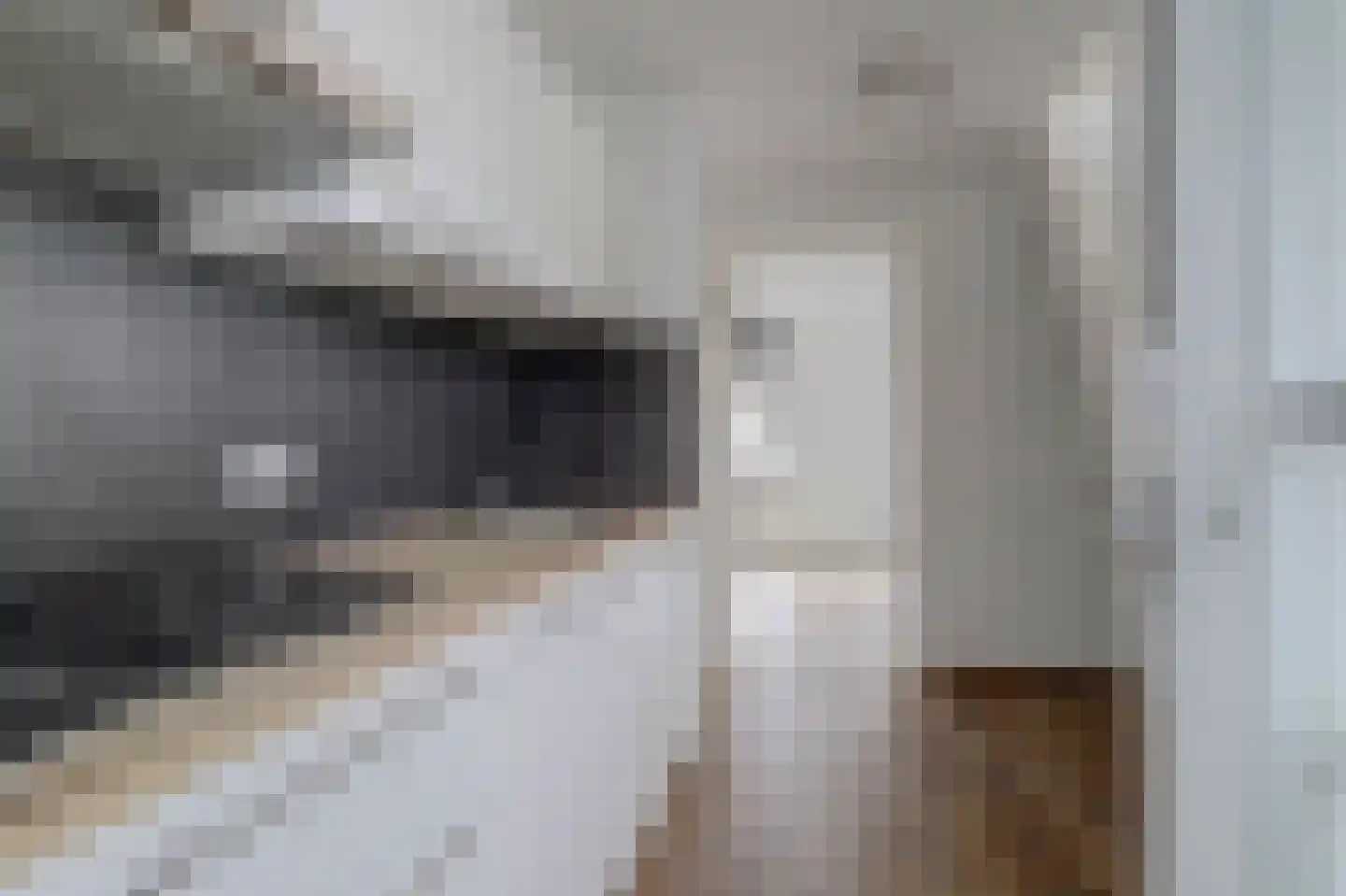 Kasteeldreef 93 Tilburg thumbnail 34