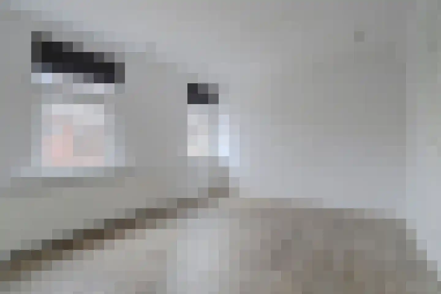 Kasteeldreef 93 Tilburg thumbnail 38