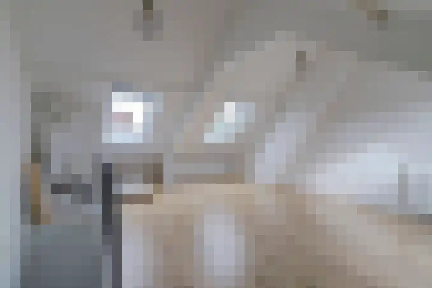 Kasteeldreef 93 Tilburg thumbnail 40