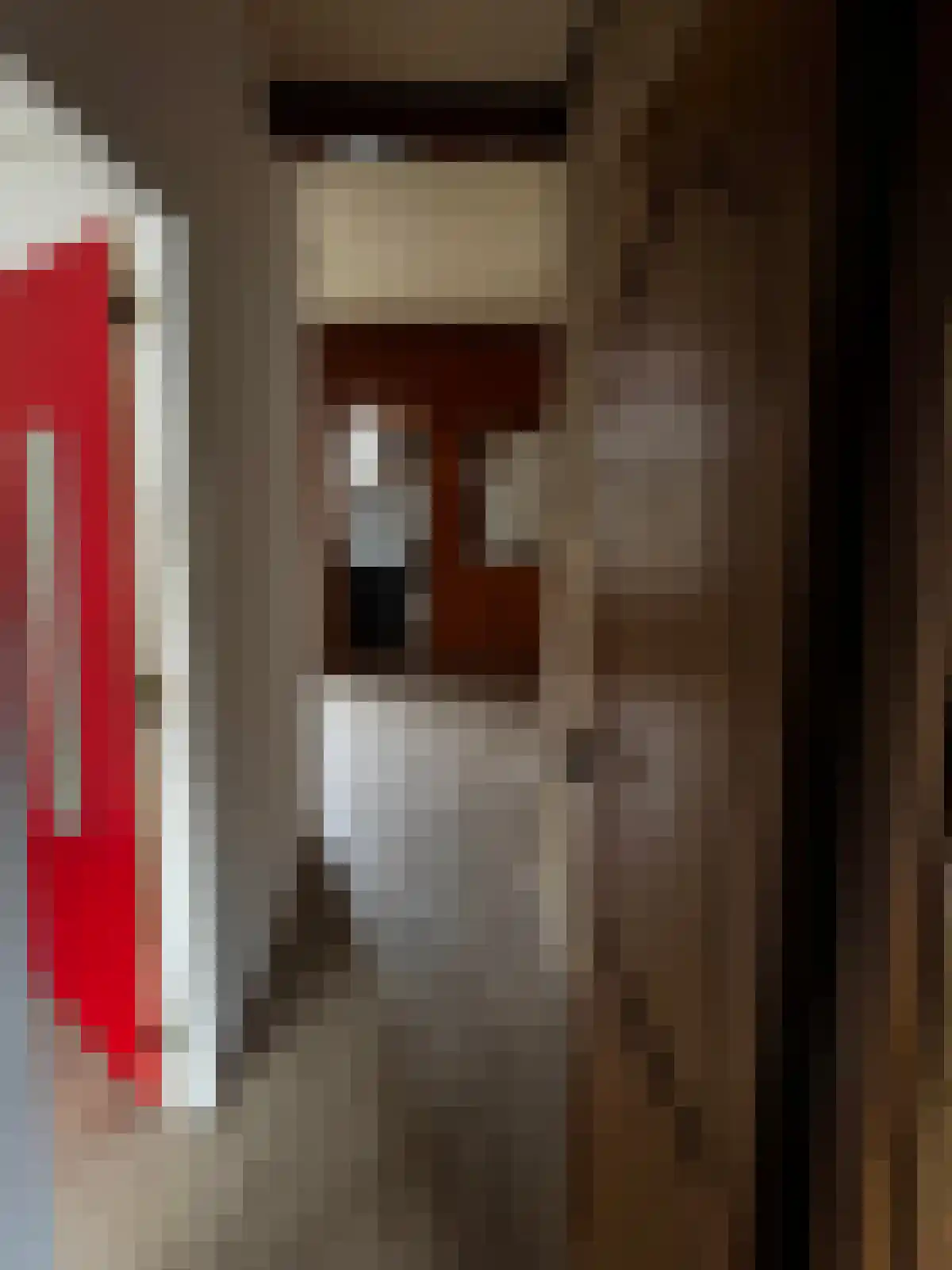 Kasteeldreef Tilburg thumbnail 4