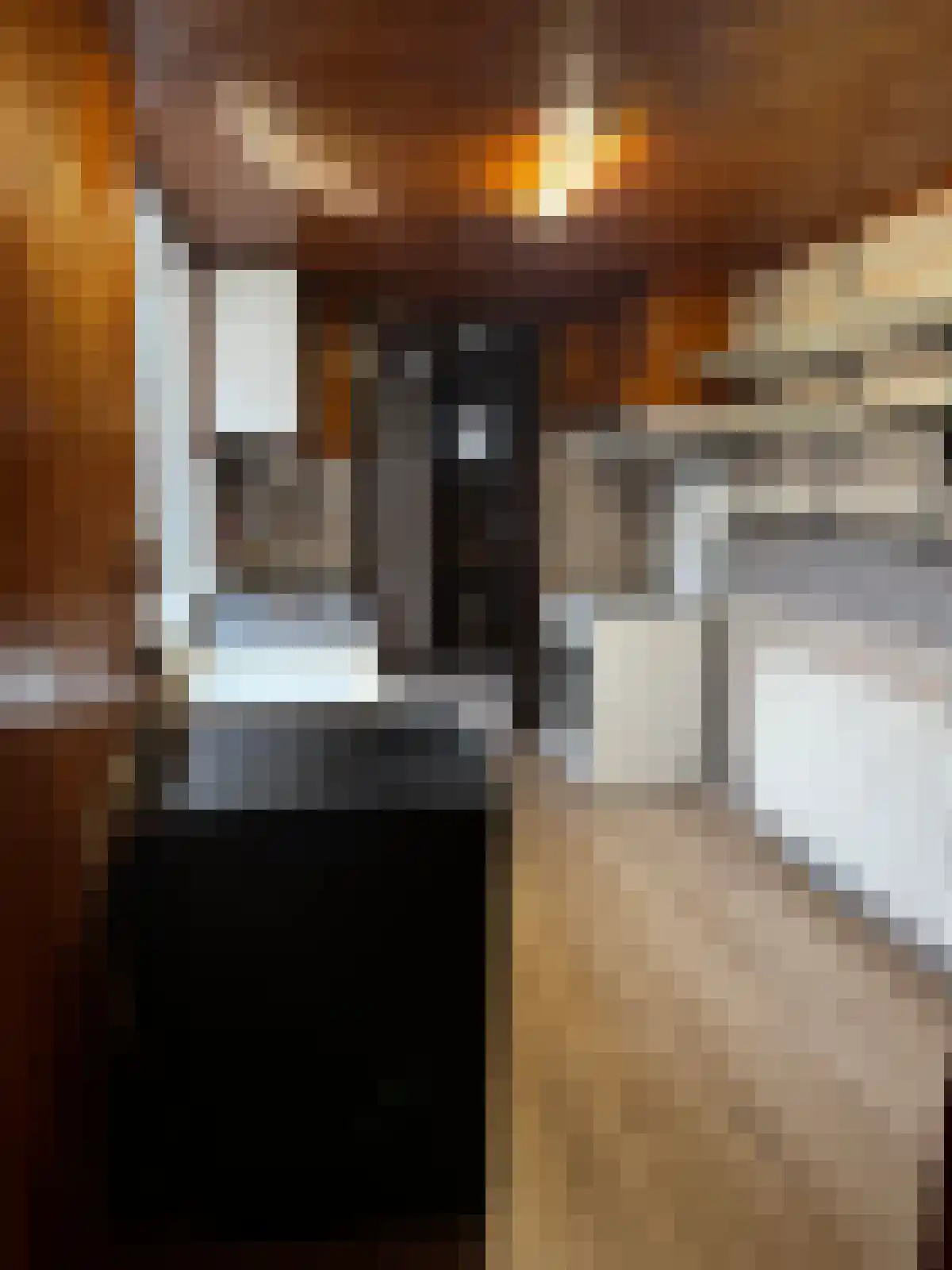 Kasteeldreef Tilburg thumbnail 5