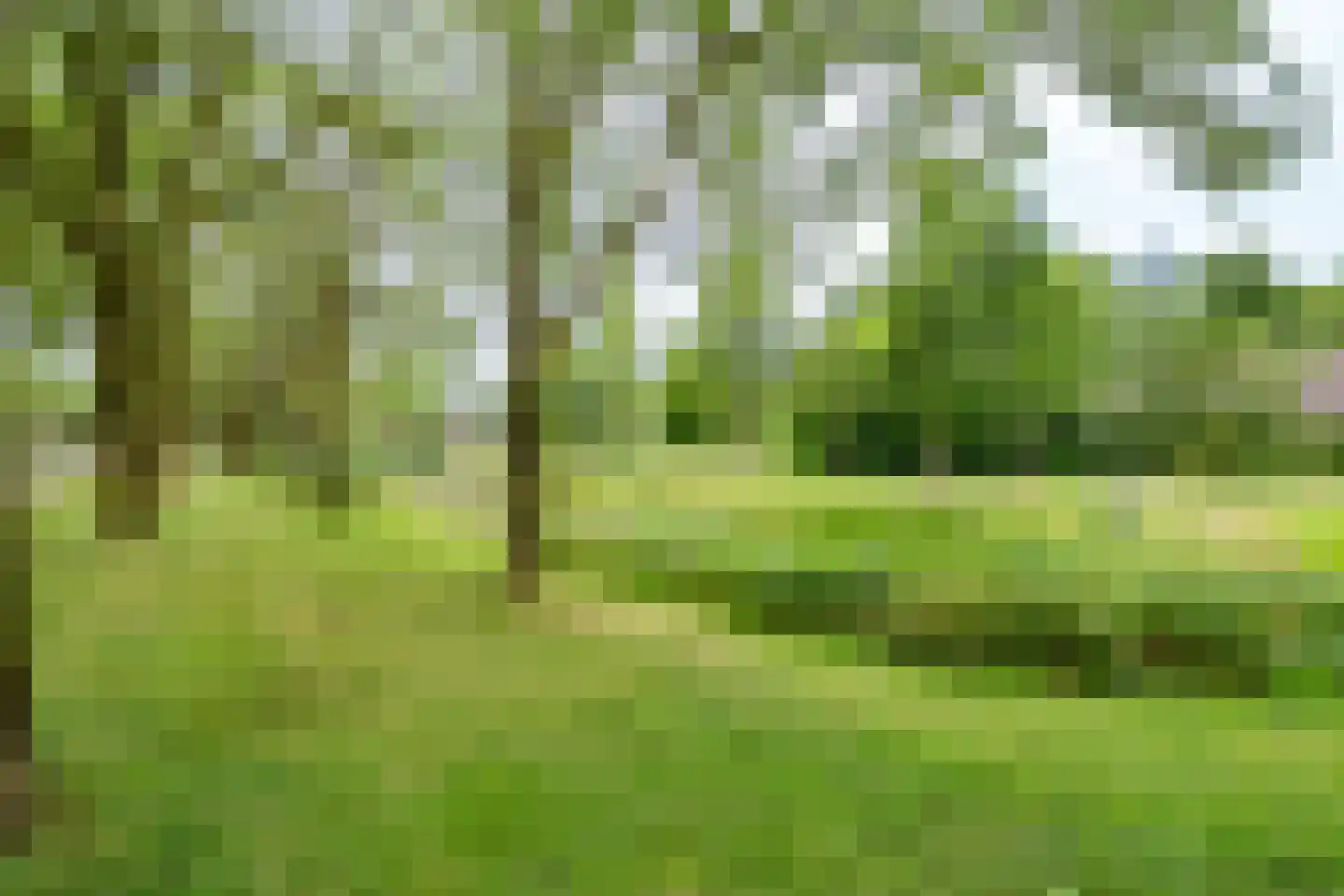 Kasteeldrift 78 Nieuwegein thumbnail 36