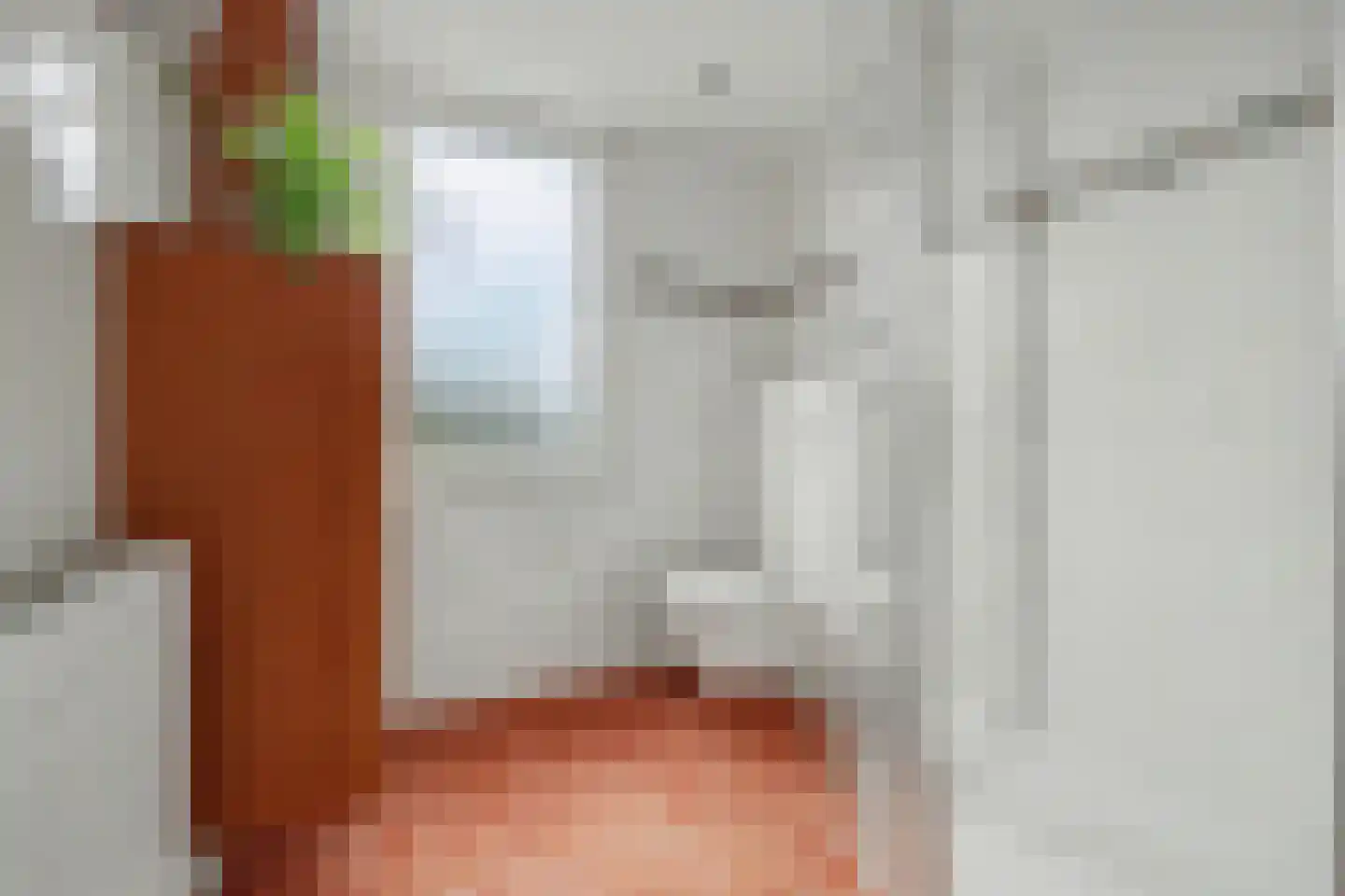 Kasteelhoekstraat 26 Hoedekenskerke thumbnail 30