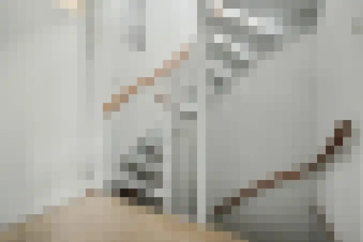 Kasteelhoekstraat 26 Hoedekenskerke thumbnail 32