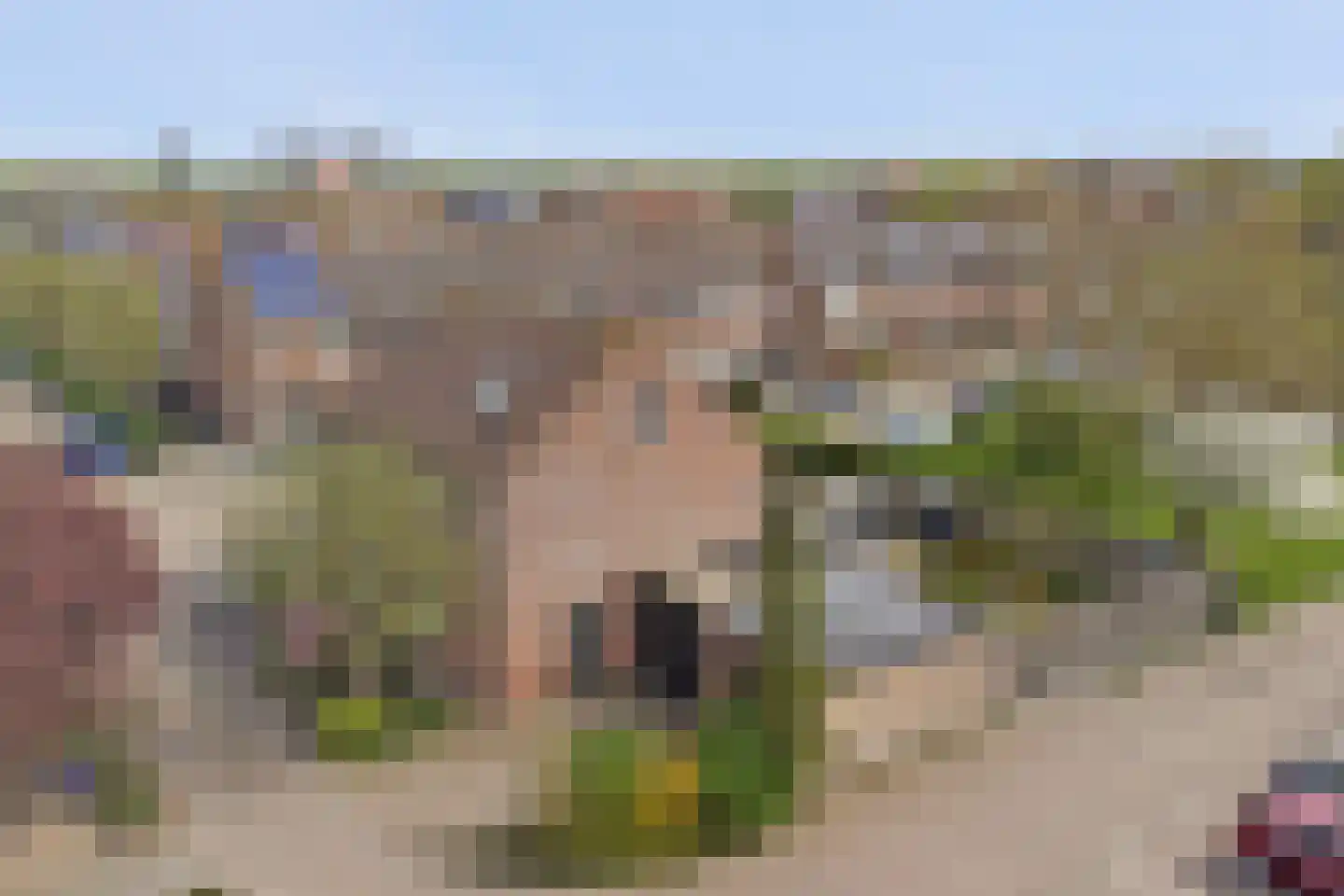 Kasteelhoekstraat 26 Hoedekenskerke thumbnail 46