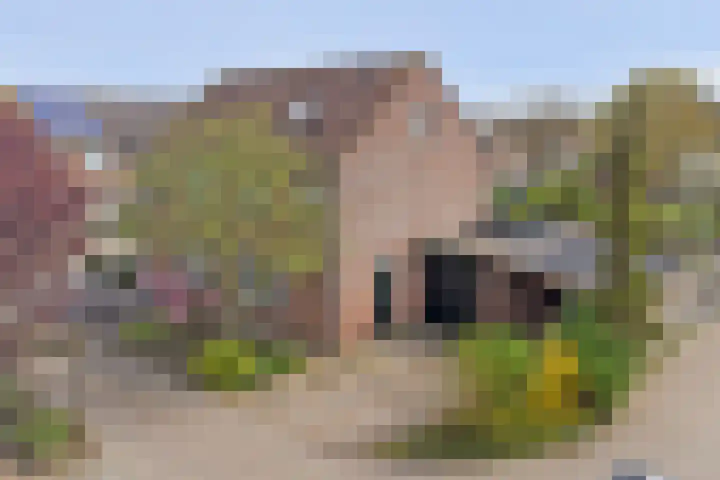 Kasteelhoekstraat 26 Hoedekenskerke thumbnail 47