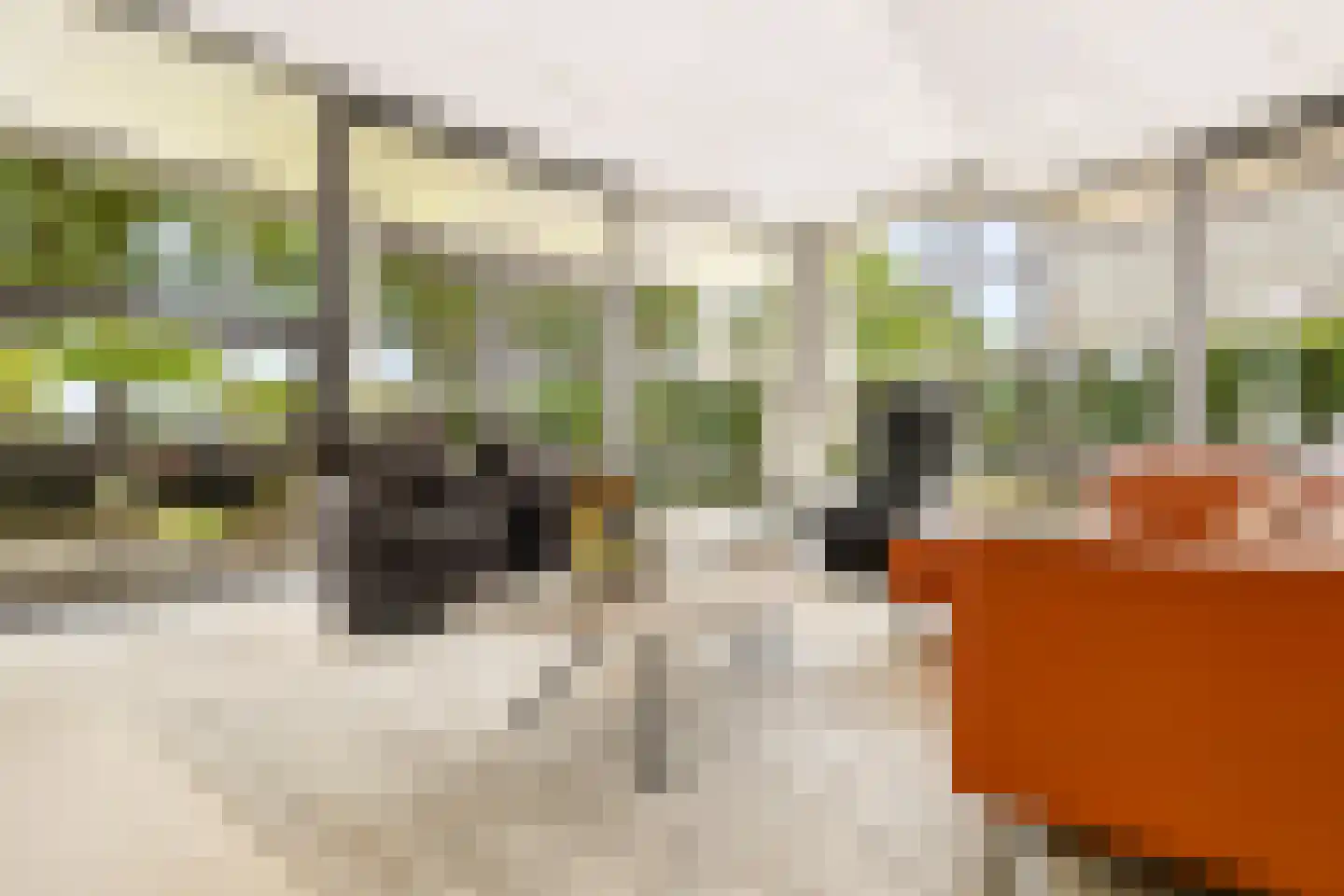Kasteelhoeve 13 Deurne thumbnail 10