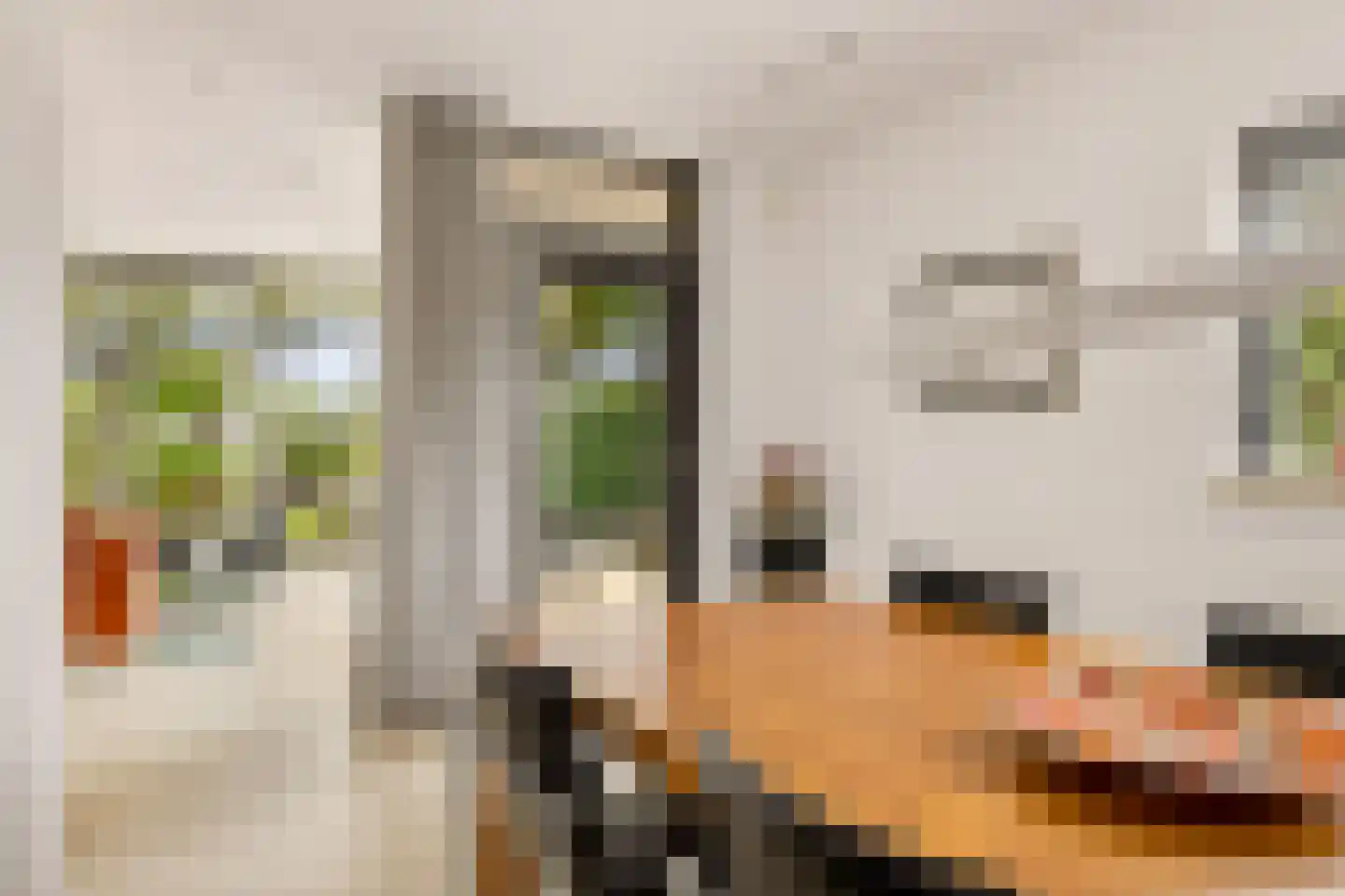 Kasteelhoeve 13 Deurne thumbnail 15