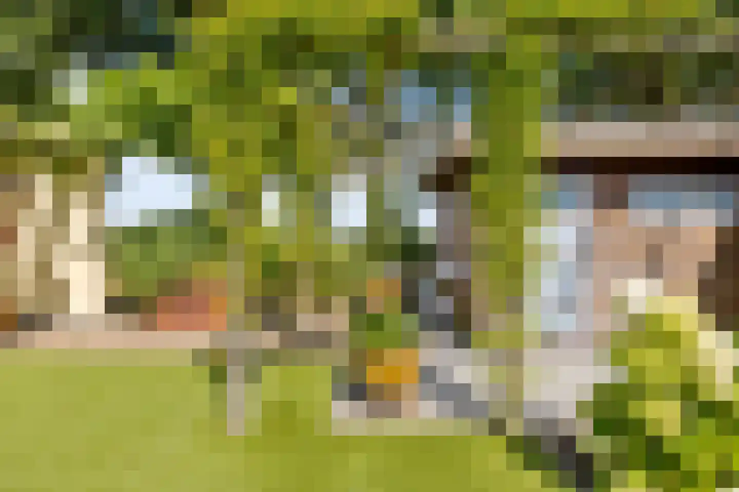 Kasteelhoeve 13 Deurne thumbnail 33