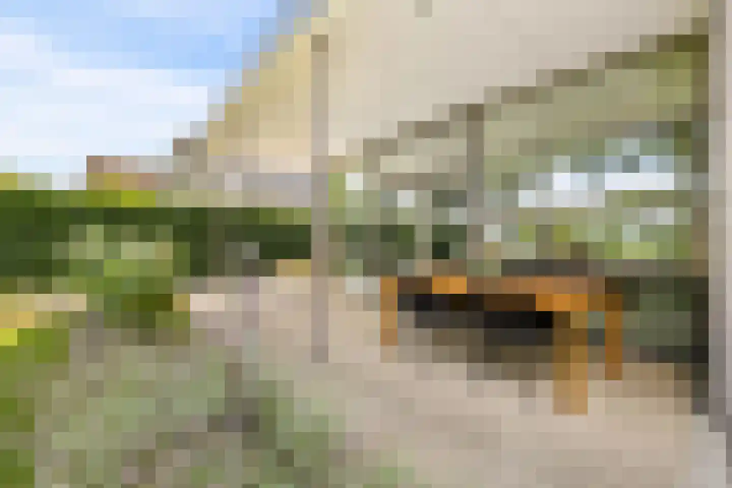 Kasteelhoeve 13 Deurne thumbnail 35