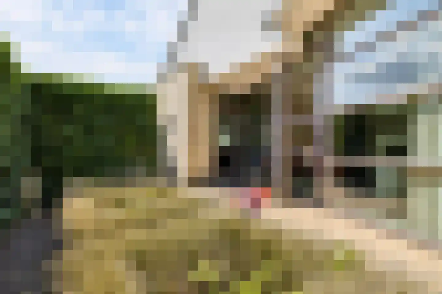 Kasteelhoeve 13 Deurne thumbnail 36