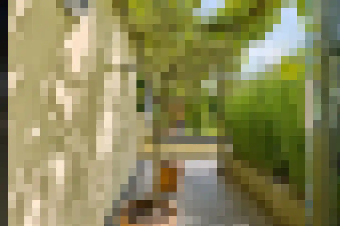 Kasteelhoeve 13 Deurne thumbnail 37