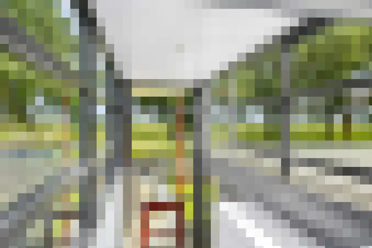 Kasteelhoeve 13 Deurne thumbnail 39
