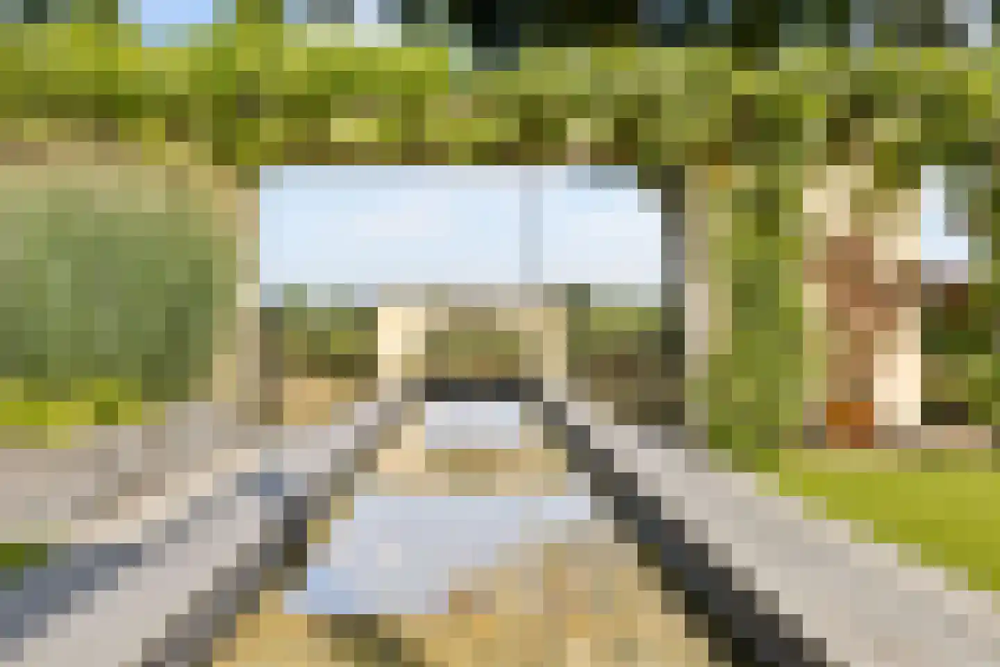 Kasteelhoeve 13 Deurne thumbnail 5